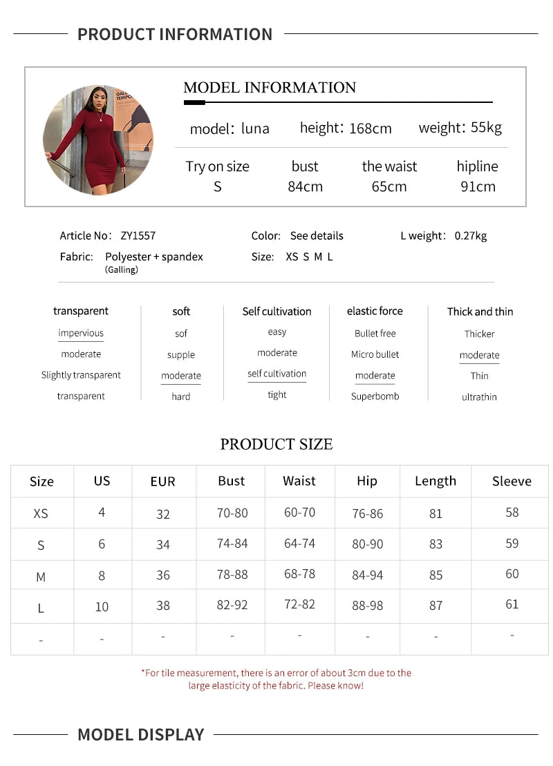 Turtleneck Ruched Bodycon Mini Dress