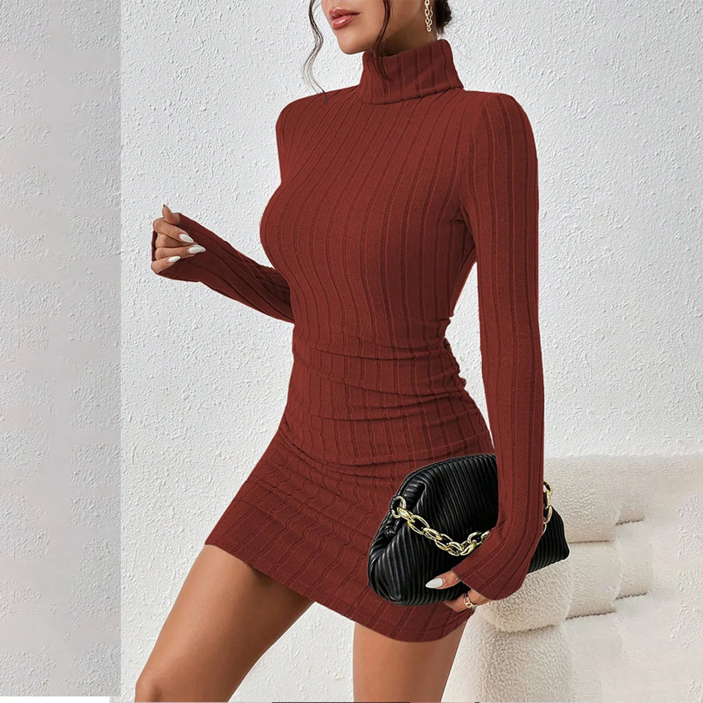 Turtleneck Knit Bodycon Mini Dress