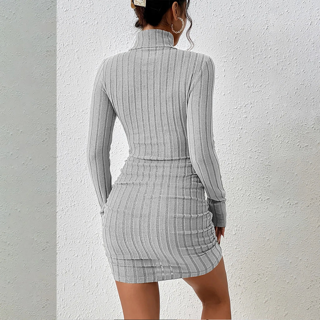 Turtleneck Knit Bodycon Mini Dress