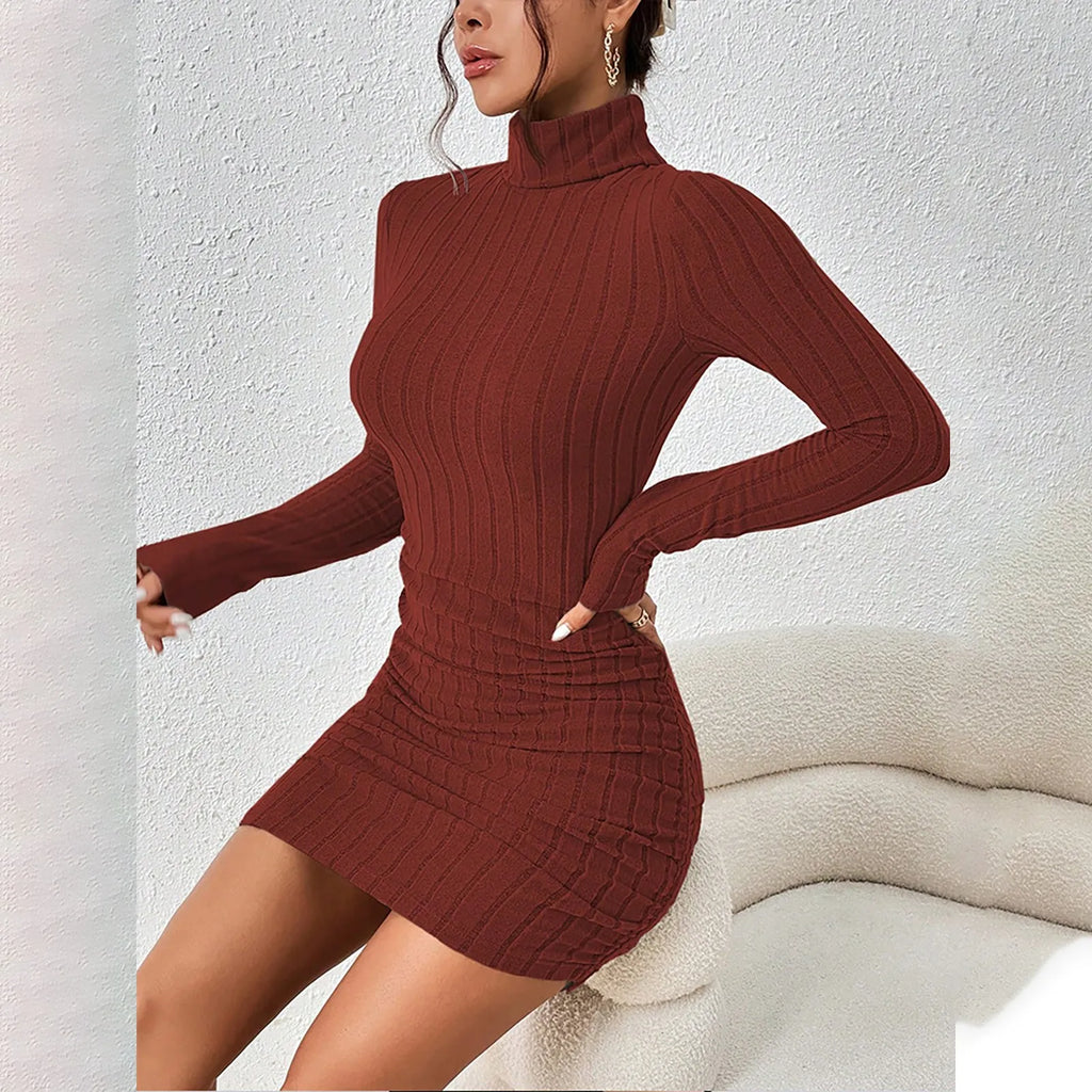 Turtleneck Knit Bodycon Mini Dress