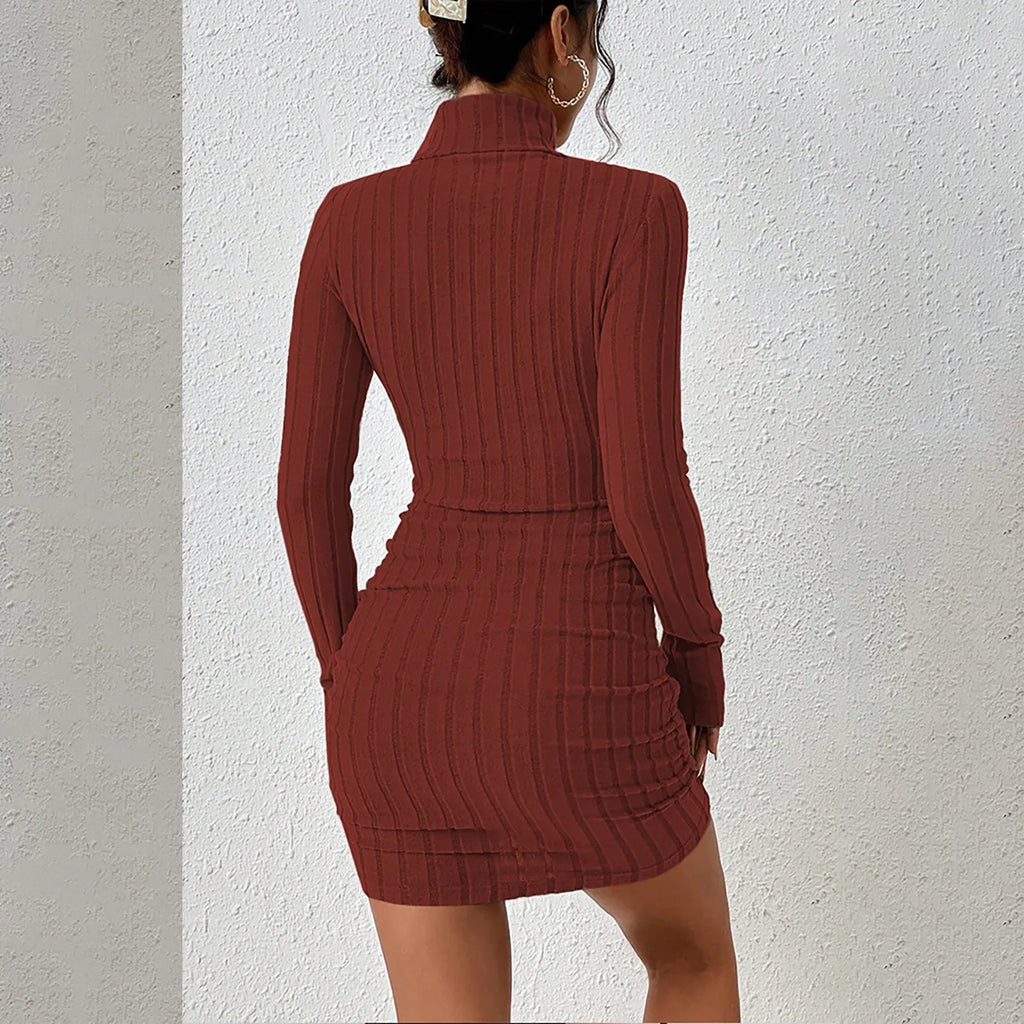 Turtleneck Knit Bodycon Mini Dress